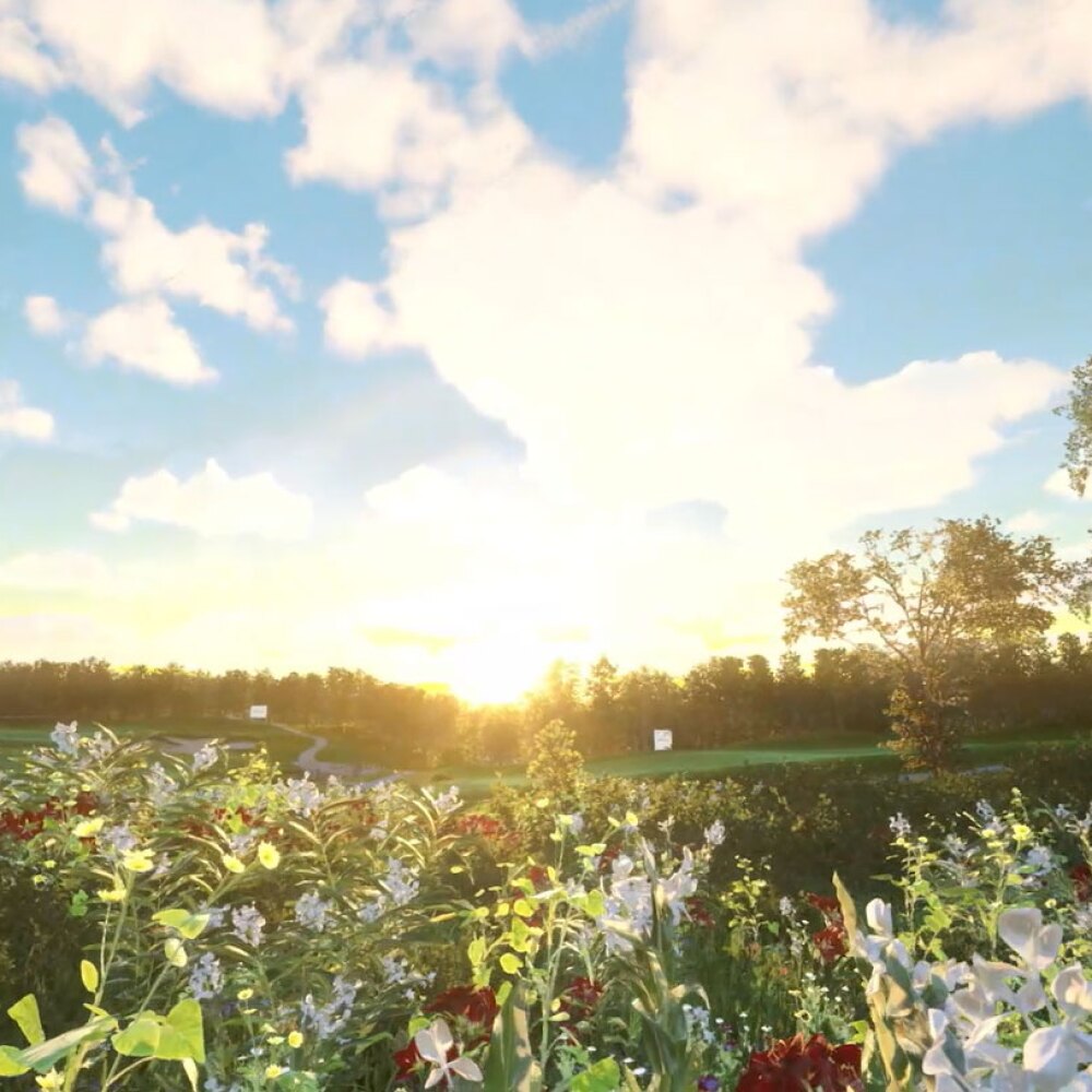 TwoVisionNX Graphics
